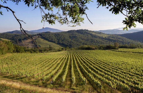 Manciano Casa | En el corazón de la Maremma toscana - Bio Agriturismo Poggio Foco - "La Casetta"