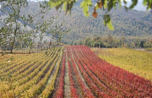 Manciano Casa | En el corazón de la Maremma toscana - Bio Agriturismo Poggio Foco - "La Casetta"