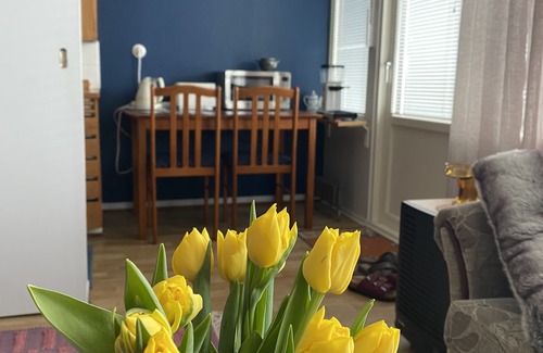 Vaasa Apartamento | In the hot spot of Vaasa