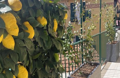 Santa Margherita Ligure Apartamento | In the center of Santa Margherita, two floors, just renovated