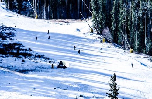 River Run Villa | Inas Way Townhomes Unit D by Summit County Mountain Retreats