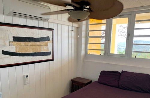 Estate Concordia East Apartamento | Incredible Buck Island view on North shore, near best beaches, Cold AC!