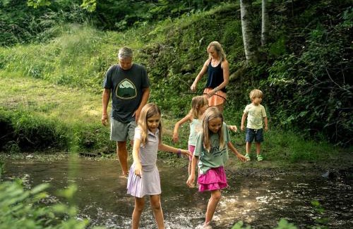 Bryson City Casa | Incredible Mountain Cabin with Private Creek and Hot Tub Allowing Outstanding Views in Bryson City