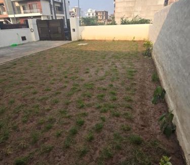 Chandigarh Casa | Independent Homestay Near Airport