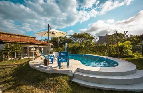 Palomino Casa | Indigo Palomino
