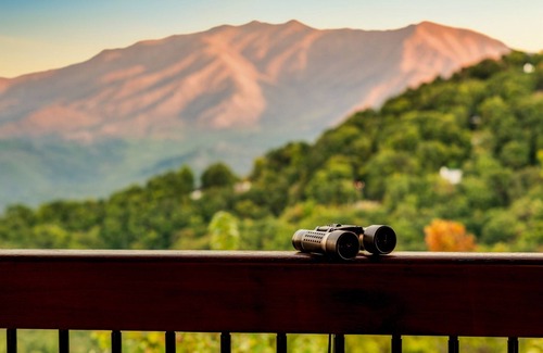 Chalet Village Cabina | IndoorPool | 2 Suites | View | HotTub | GmRm | PS5