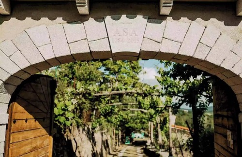 Sezana Casa | Indulge in Timeless Luxury at Chateau Asa