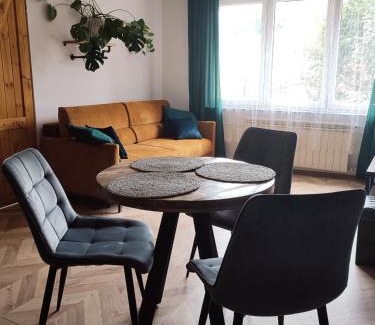 Sandomierz Apartamento | Industrial apartament