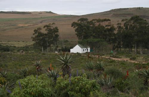 Hessequa Casa | Infinity farm