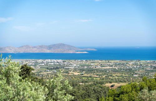 Zipari Apartamento | Infinity V - Spacious Family Apartment in Kos