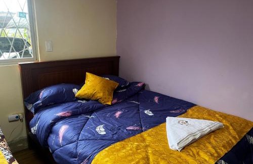 San Gabriel Casa | INGEMEND
