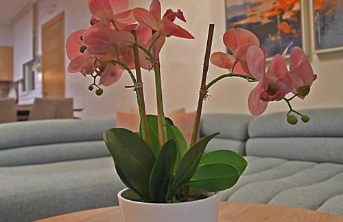 Cabo Negro Apartamento | InHome Apartment