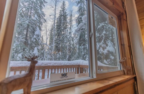 College Cabina | Iniakuk Forest Cabin Sleeps 4
