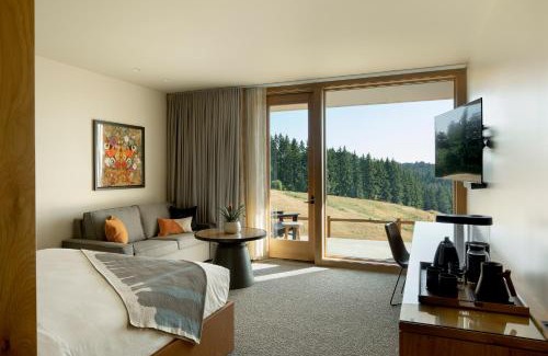 Carlton Casa | Inn the Ground