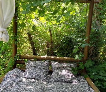 Saumane Otro | Insolite - Nuit à la belle étoile dans gazébo thaï près de la rivière