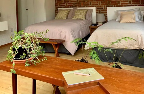 Magdalena Contreras Apartamento | Inspiring Vintage Miniloft/Terrace/SurCdMx Garden