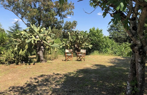 Torres Novas Cabaña | Inviting Country Cottage