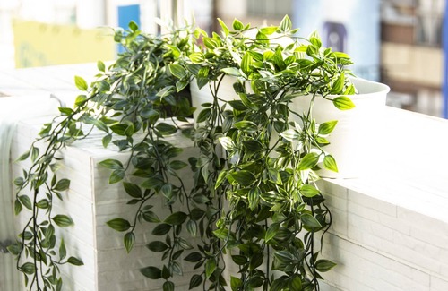 Tainan City Centre Casa | ioio Tainan Homestay