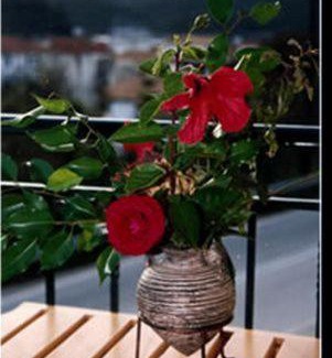 Sivota Apartamento | Ionion Hotel