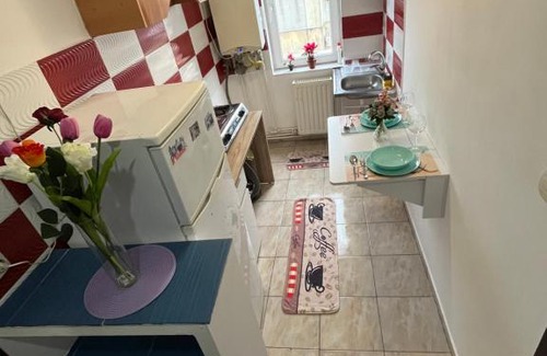 Tulcea Apartamento | Iove Flat