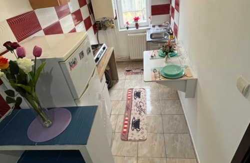 Tulcea Apartamento | Iove Flat