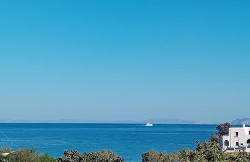 Moutsouna Hotel | Ippokampos