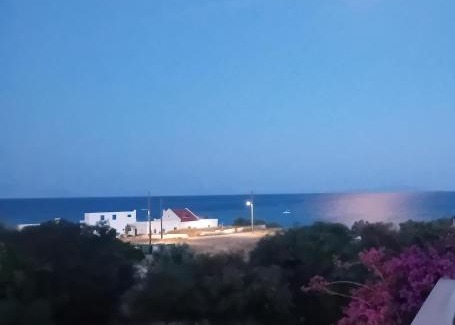 Moutsouna Hotel | Ippokampos