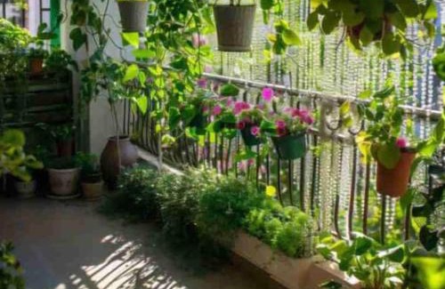 Khattalwada Complejo | Iraitrails Resort