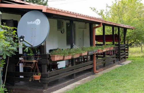 Mladenovac Casa | Iris pool house