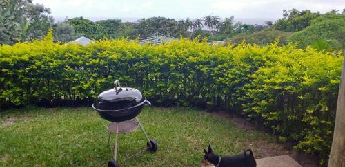 Pennington Cama Y Desayuno | IRONWOOD LODGE