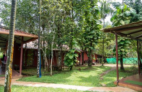 Samse Casa | Isiri river side stay