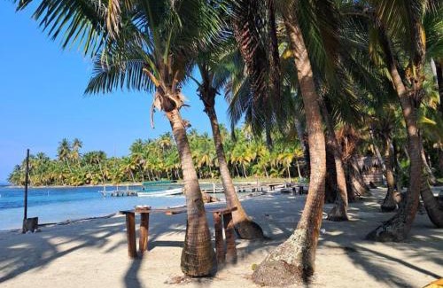Carti Tupile Otro | Isla San Blas Pugsudub