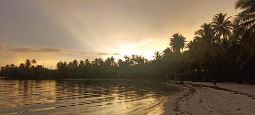 Carti Tupile Otro | Isla San Blas Pugsudub