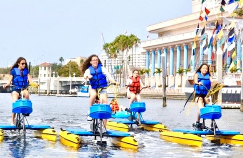 Davis Islands Apartamento | Island Getaway* NearTampa General Amalie Arena* UT