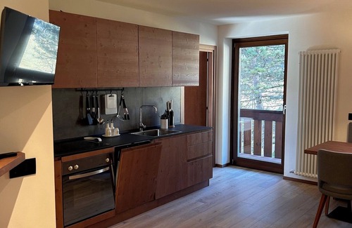 San Martino di Castrozza Apartamento | Apartment with large private terrace, 40 m2 and Pale San Martino views