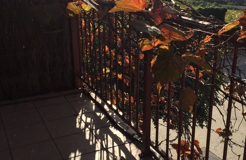 Queenscliff Apartamento | Ivy Apartment Queenscliff