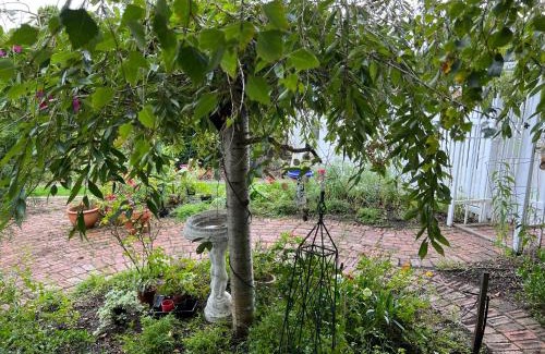 Lakes Entrance Cama Y Desayuno | Ivy May Cottage
