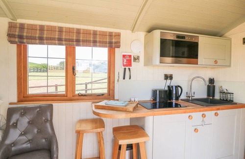 Rhayader Apartamento | Ivy's Way - Delightful Pet Friendly Shepherds Hut Sleeping 2