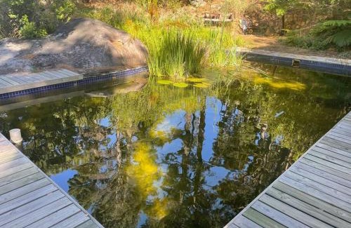 Hout Bay Apartamento | Ixia studio-Serene, solar, pet friendly, garden and valley views