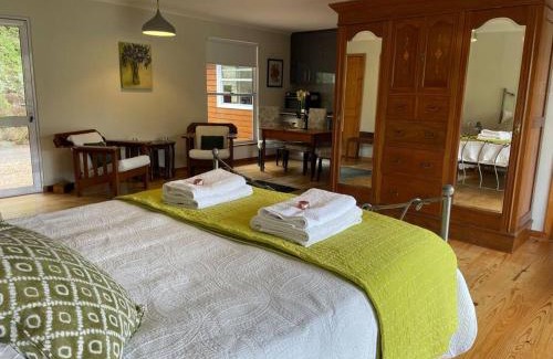 Hout Bay Apartamento | Ixia studio-Serene, solar, pet friendly, garden and valley views