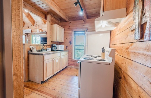 Townsend Cabina | J Willy's Refuge: Pet Friendly, Free Attraction Tickets, Hot Tub, Mtn View