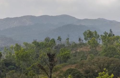Madikeri Casa | Jade Hills Coorg