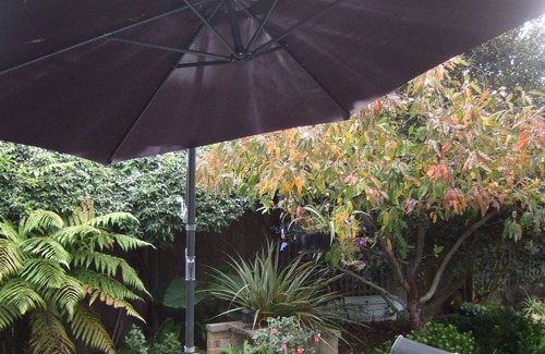 Springlands Cama Y Desayuno | Jade Owl Bed and Breakfast