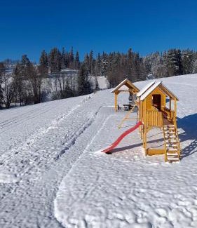Czarny Dunajec Casa | Jagodowe Domki
