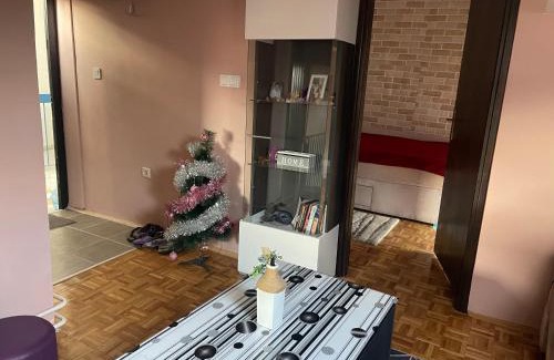 Bistrica Apartamento | Jana
