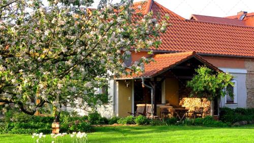 Neu Lubbenau Apartamento | JANISCHs Fewo im Spreewald, Terrasse, großer Garten und Blick inklusive