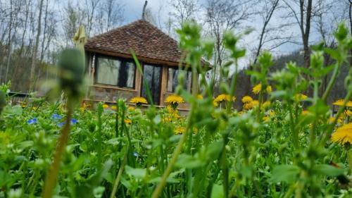 Ljubovija Casa | JANTAR- rustična kuća