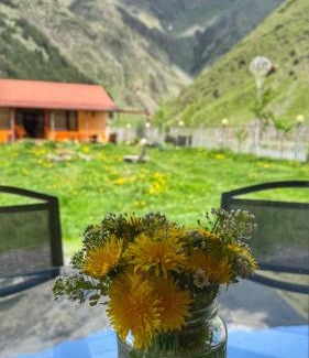Kazbegi Casa | Januka Garden at Sno