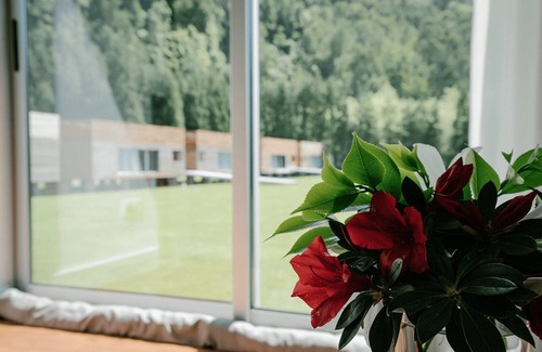 Furnas Casa | Cedro japonés Villa