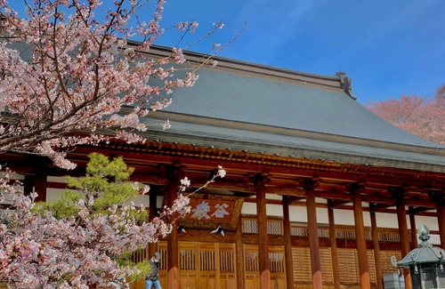 Yudanaka Shibu Onsen Cama Y Desayuno | Habitación japonesaKoishiya Ryokan / Renovar